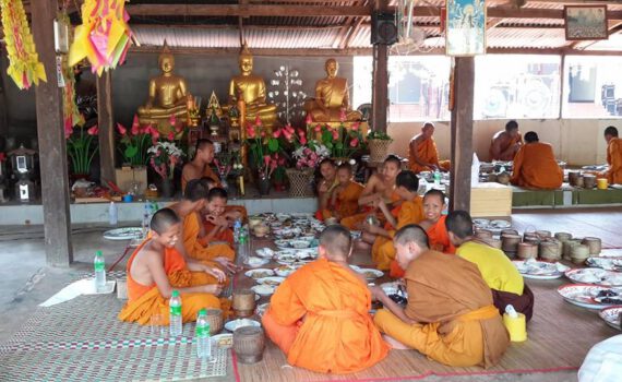 11139375 1577533919200835 5956914830276232050 n