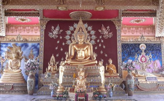 11822646 450780855093150 782433290147428945 n