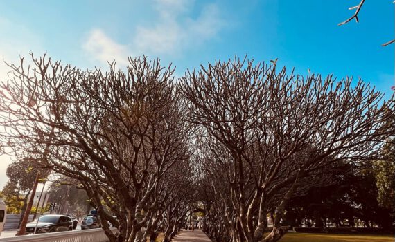 1699401785 361612882 704409714829230 6001881933230637367 n