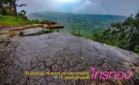 1699442773 352748263 993506598363705 2084760430744826164 n