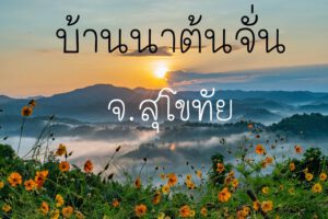 ผลงานล่าสุด : รถตู้ให้เช่า.com บริการให้เช่ารถตู้พร้อมคนขับ VIP แบบครบวงจร 1 1699495510 346457511 250265657671668 4734877177422695481 n