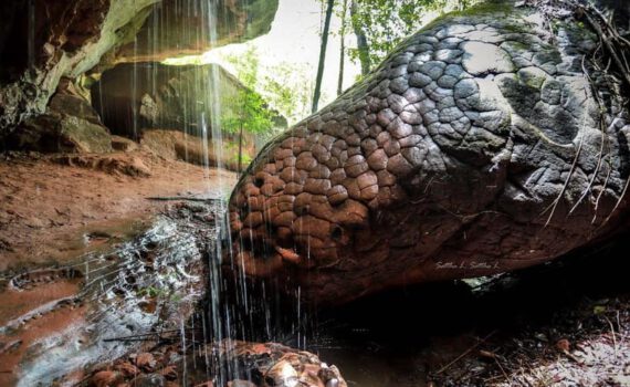 1700001658 302417482 3312308489056694 8469057415309943893 n