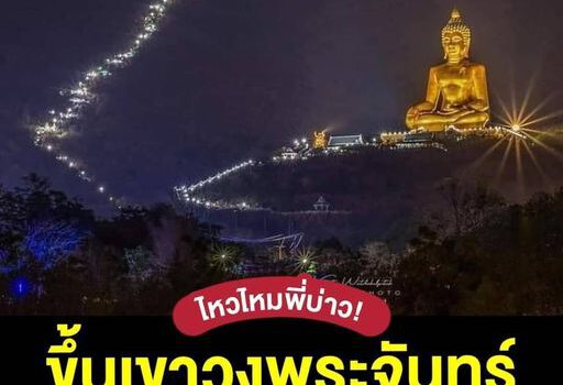 272967939 1960336174137603 1805761686714392585 n