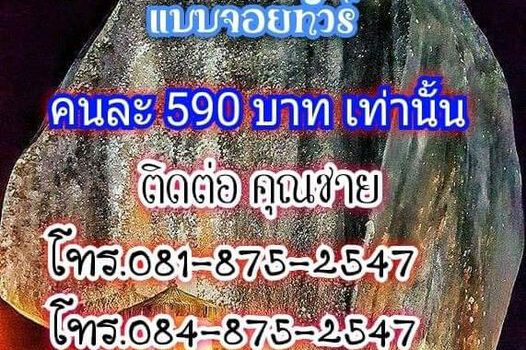 273756319 1964031103768110 4264059861228477370 n