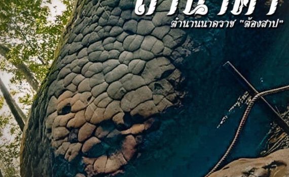 275049084 3173413829612828 8896491893473854952 n