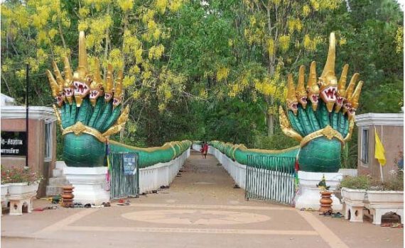 278185351 3203954853225392 7280001702344481574 n