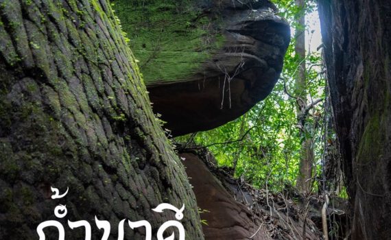 294247385 3284423445178532 8326951166360692017 n