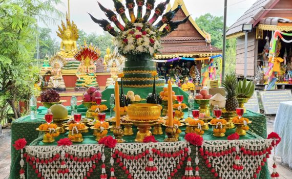 299557775 2108149362689616 8134556696999541586 n