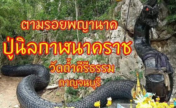 300869770 3306067193014157 3037771257624456501 n