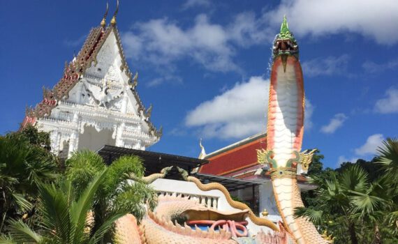 301986130 3310845259203017 2850528969441377009 n