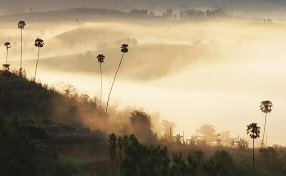 308392066 518363816767155 2281782741421321254 n