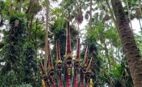 308994322 521426056460931 332455832043189194 n