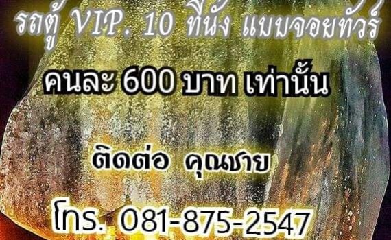 310744159 808341136880253 1879362894784999191 n