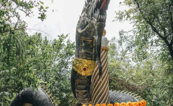 314672717 139022092222526 2602705266101054830 n