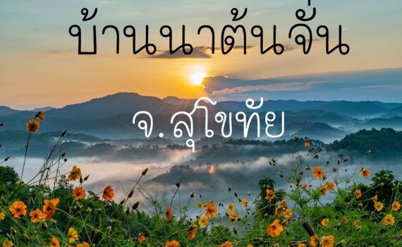 346457511 250265657671668 4734877177422695481 n