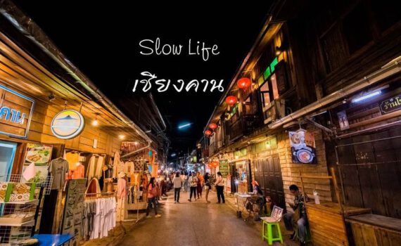 367156154 719498023320399 6107359186977983278 n