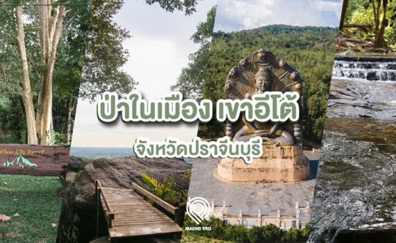 368942265 1041488883565476 4220383432989125846 n