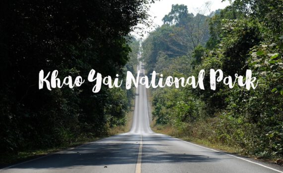 393798312 751637936773074 5457766120410042362 n