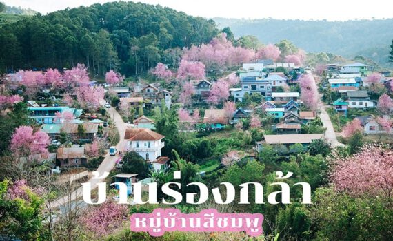 400423200 761681105768757 5446617553853635662 n