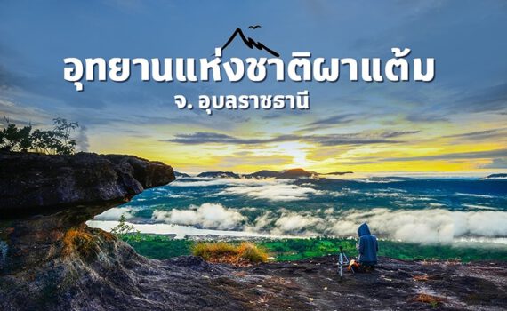 400427349 1091990011848696 6706597133834082037 n