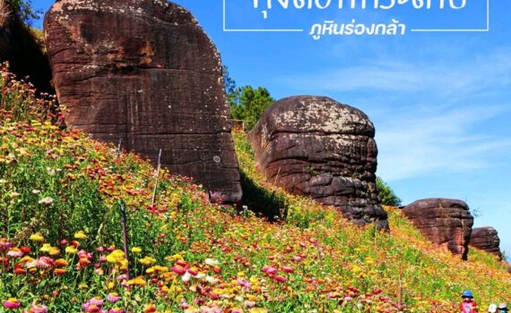 400624399 1090704271977270 1522491180056545889 n