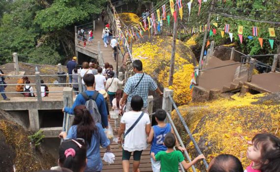 10428622 423498004488102 7501188576291843533 n