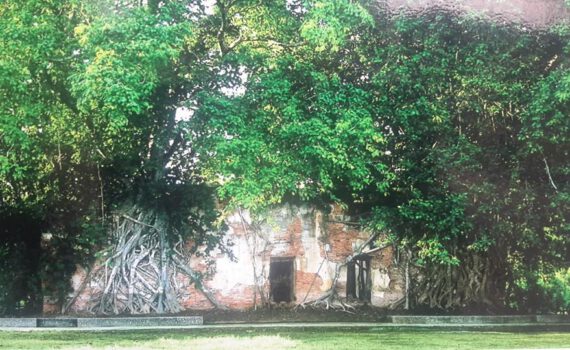 10599689 303904836447420 5758518857595976074 n