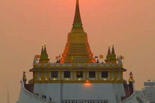 11127546 417504388420797 7971121688266061882 n