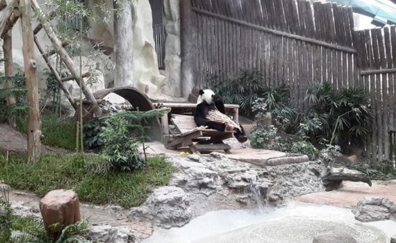 1512671 333480360156534 7991061075885161114 n