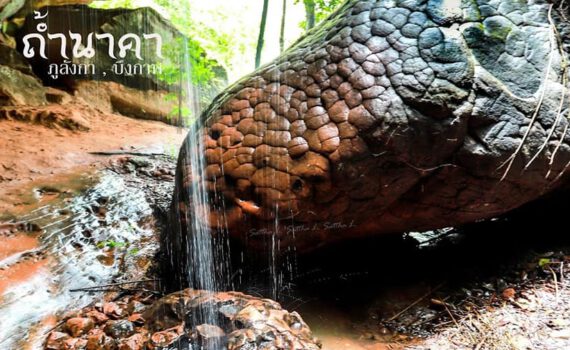 1703435202 293637807 2079833452187874 966200680595837068 n