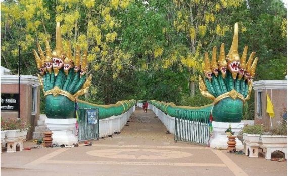 279889072 3221516344802576 487470618338713839 n