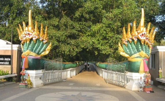 295049904 2084921098345776 4167795890353960581 n