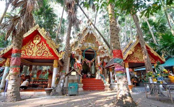 301079237 3306065696347640 6581676777111736105 n