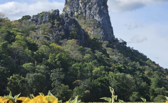 406380382 7232909136740565 9018888268627687617 n