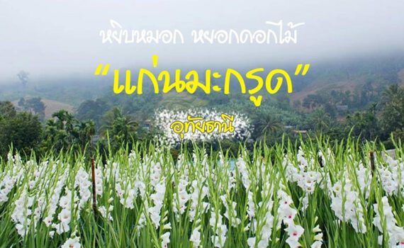 407869061 1105917367122627 1751894293131091637 n