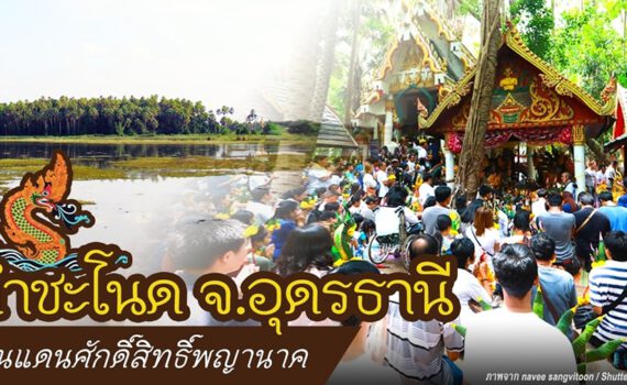 411202954 780313303905537 7480106968527385263 n