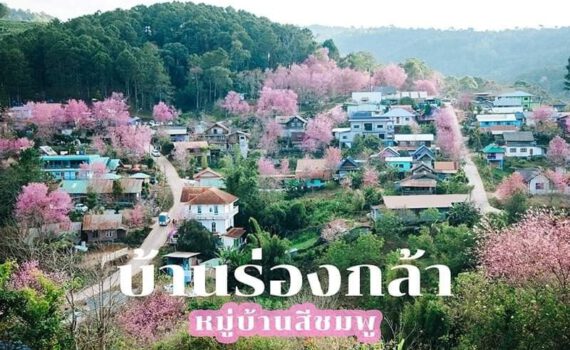 412147790 1114330192948011 3954513384777236282 n