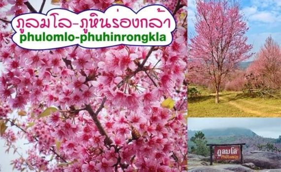 412178238 782526207017580 2422180560258365765 n