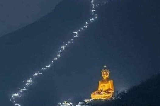 428610011 818915846711949 3274860963153328738 n