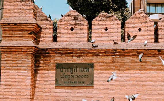 459289558 1294567821590913 6232925012722849786 n