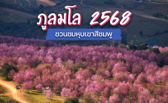 470240633 1003955468207985 397238274634894466 n