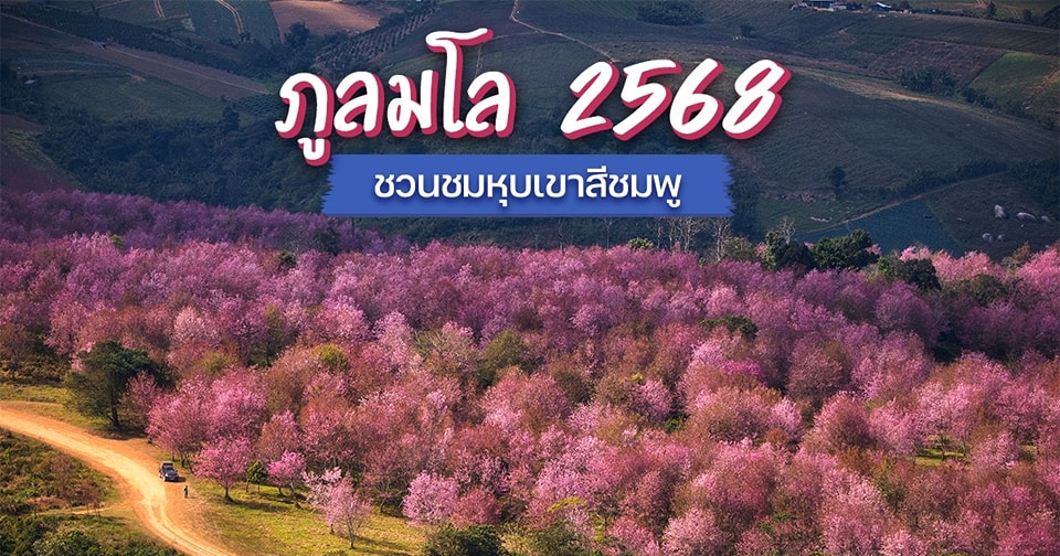 470240633_1003955468207985_397238274634894466_n.jpg