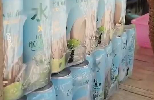 473622948 1583299123064773 7262463793655618685 n