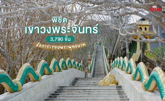 475670616 1402956347418726 1722162702794896629 n