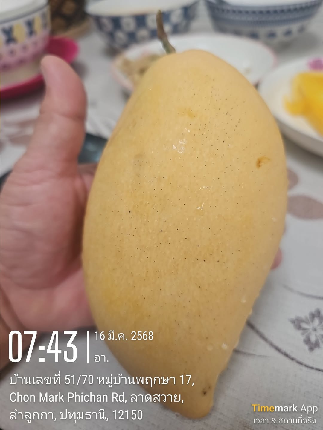 482246999_1438975493816811_3500001197426373245_n.jpg