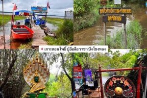 ผลงานล่าสุด : รถตู้ให้เช่า.com บริการให้เช่ารถตู้พร้อมคนขับ VIP แบบครบวงจร 6 689496995 1390491379554390 2310252140952798096 n